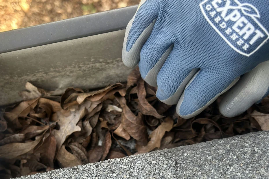 Gutter Cleaning Greenbrier AR